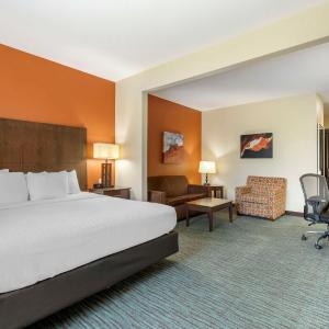 King Suite with Sofa Bed and Bath Tub - Disability Access/Non-Smoking