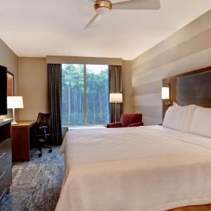 King Suite - Hearing Access/Non-Smoking