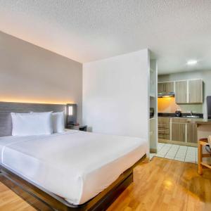Queen Room - Disability Access - Roll in Shower