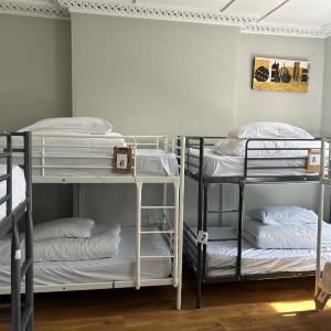 Bed in 12-Bed Mixed Dormitory