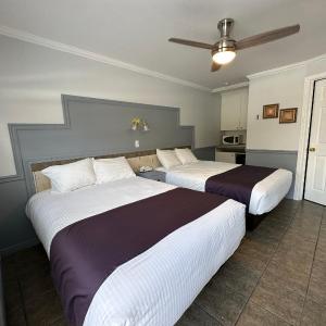 Standard Double Room with Two Double Beds