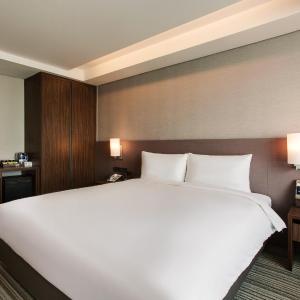 Standard Double Room with City View