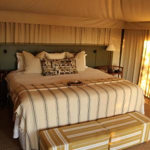 Luxury Tent - Safari Package