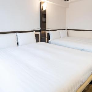 Deluxe Twin Room - Non-Smoking
