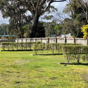 Large Grass Powered Site - No Bed Provided