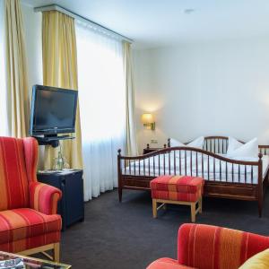 Standard Room or Apartment in the Basement