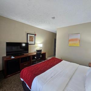 King Room - Accessible/Non-Smoking