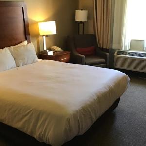 Queen Room - Accessible/Non-Smoking