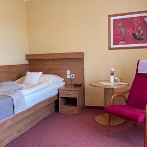 Single Room with Terrace and Treatment Package in Palace I