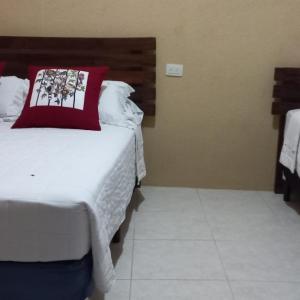 Basic Triple Room