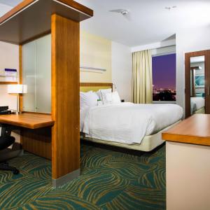 King Suite with Bathtub and Sofa Bed - Mobility Access/Hearing Accessible