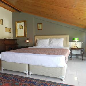 Superior Double Room with Terrace