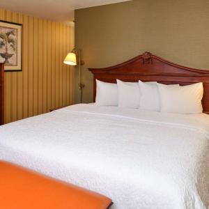 King Room with King Bed - Non-Smoking