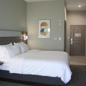 King Room - Mobility Access/Hearing Accessible