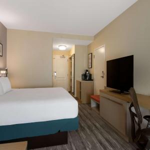 King Room with Sofa Bed - Non-Smoking