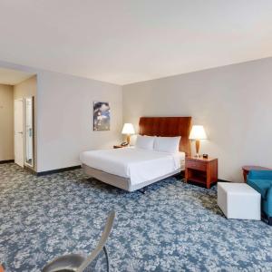 One-Bedroom King Suite