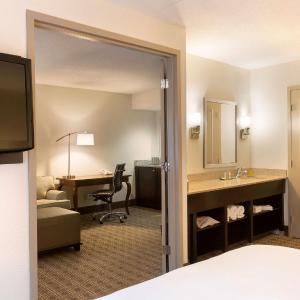 Deluxe King Suite
