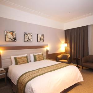 ECO Plan - Economy Double Room - No Window