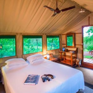 Tent with Safari