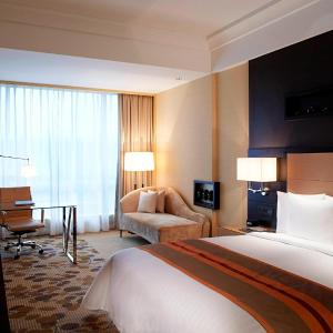 Executive King Room with City View and Lounge Access