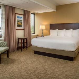 Executive King Suite