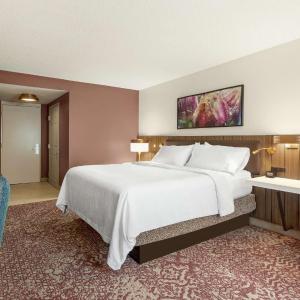 King Room with Tub - Mobility and Hearing Access