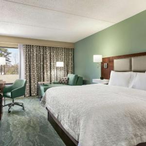 King Room with King Bed - Non-Smoking