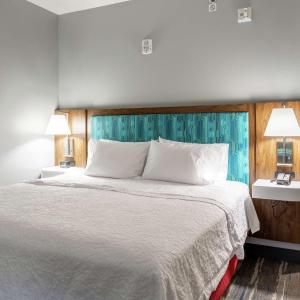 King Room with Sofa Bed - Hearing Access/Non-Smoking