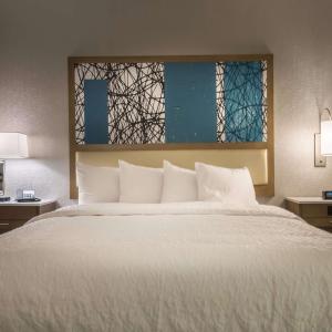King Room with Sofa Bed - Mobility Access/Non-Smoking