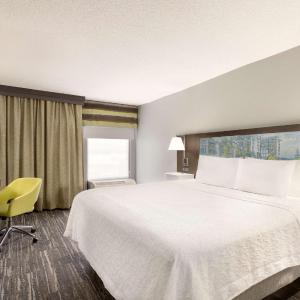 One-Bedroom King Suite - Non-Smoking