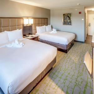 Queen Room with Two Queen Beds