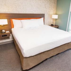 King Studio Suite - Hearing Access/Non-Smoking