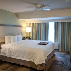 One-Bedroom King Suite with Wet Bar - Non-Smoking