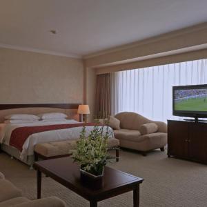 Deluxe Double Room with Park View