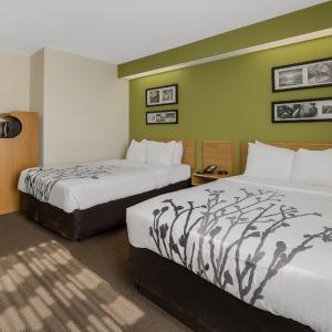 Double Room with Two Double Beds - Accessible/Non-Smoking