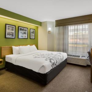 King Room - Accessible/Non-Smoking