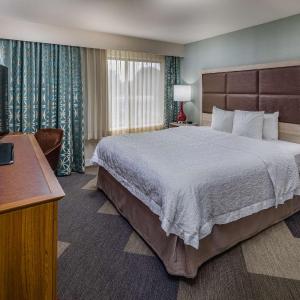 One-Bedroom King Suite - Non-Smoking