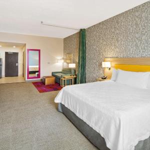 King Studio Suite - Mobility Access/Non-Smoking