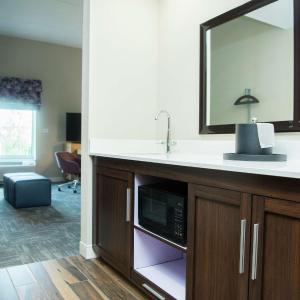King Studio Suite with Sofa Bed