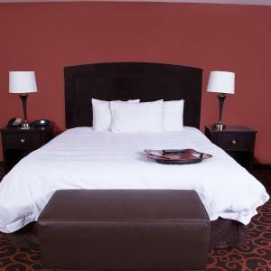 King Studio Suite with Sofa Bed - Hearing Access/Non-Smoking