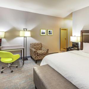 King Room with King Bed - Non-Smoking