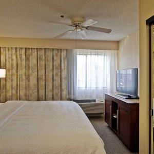 One-Bedroom King Suite with Fireplace