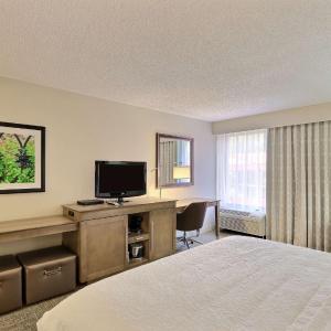 King Room with King Bed - Non-Smoking