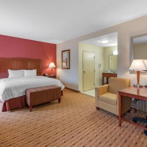 King Studio Suite with Sofa Bed - Non-Smoking