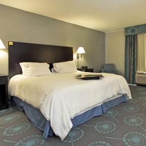 King Room with Sofa Bed - Non-Smoking