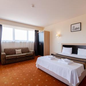 Executive Suite with Terrace