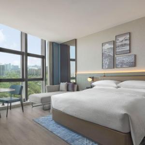 Superior King Room with City View