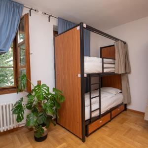 Female Bunk Bed in 6-Bed Dormitory Room