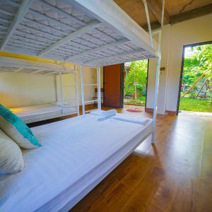 Bunk Bed in Mixed Dormitory Room