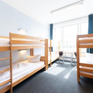 6-Bed Room with Shared Bathroom